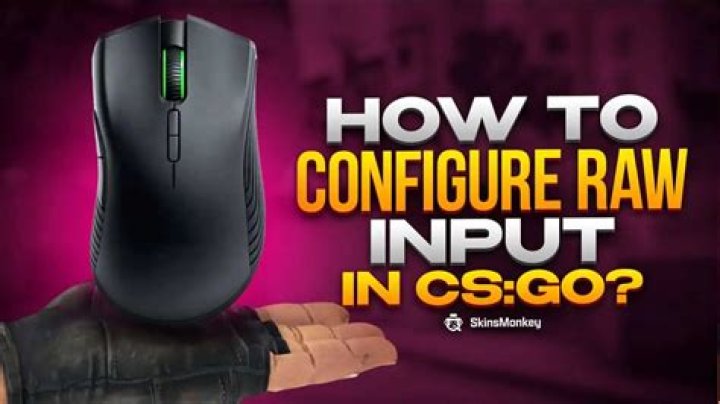 What does raw_input do in csgo