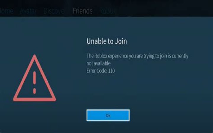 What is error code 110 on roblox