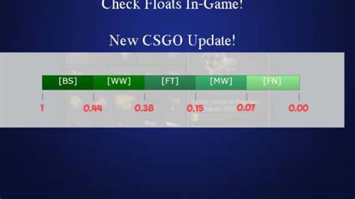 What is float csgo